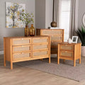 Baxton Studio Jenn Golden Brown Wood Japandi 3-Piece Storage Set with Distressed-Finished Rattan